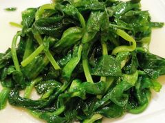清炒豆苗-梅龙镇酒家(南京西路总店)
