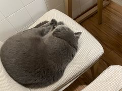 -春笙食堂.丼饭拉面寿司(GOGO新天地店)