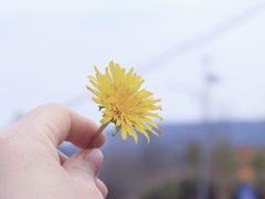 -仙海旅游度假区