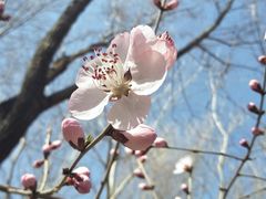 -大兴滨河森林公园