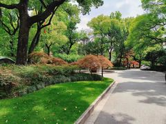 -申粤轩·手工点心·金牌烧味·经典粤菜(丁香花园店)