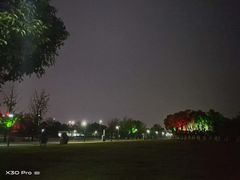 -滨江生态公园