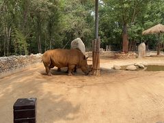 -北京野生动物园