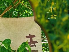-老山国家森林公园