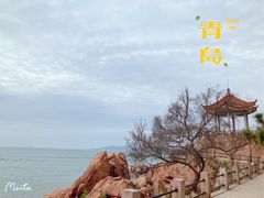 -八大关景区
