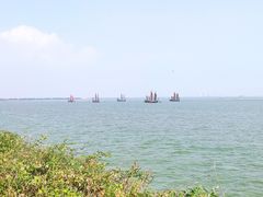 -贡湖湾湿地公园