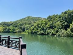 -白马涧龙池景区