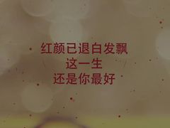 -金陵食府(林景店)