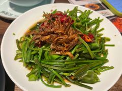 -菌自由丨野生菌火锅特色庭院餐厅(丽江古城店)