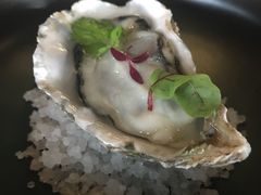 新鲜生蚝搭配柠檬和小洋葱-AZUL by FUEL蓝色·法式酒馆(琶醍店)