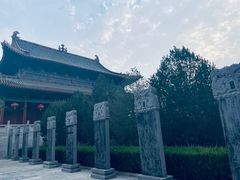 -大槐树寻根祭祖园