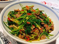 -壹盏灯(惠农店)