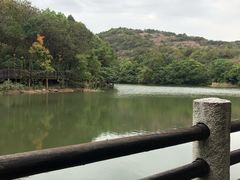 -白马涧龙池景区