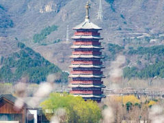 -向外鱼乐·土菜·虹鳟鱼