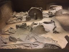 -洛阳周王城天子驾六博物馆