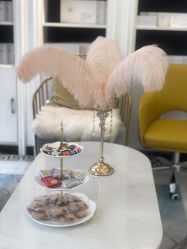 -缤卡妮肌肤管理中心