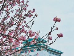 -武汉大学图书馆·文理学部总馆