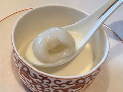 杏汁炖燕窝汤圆-新荣记(建国门外大街店)