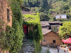 -杨家堂村