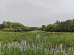 -长广溪湿地公园