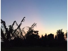 -无锡梁鸿湿地丽笙度假酒店·流觞西餐厅