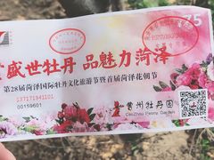 -曹州牡丹园