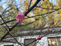 -求雨山文化公园