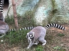 -杭州野生动物世界