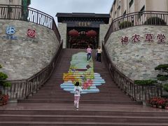 -广州神农草堂中医药博物馆