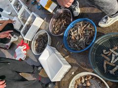 -77号渔船·蒸海鲜青岛菜(积米崖店)