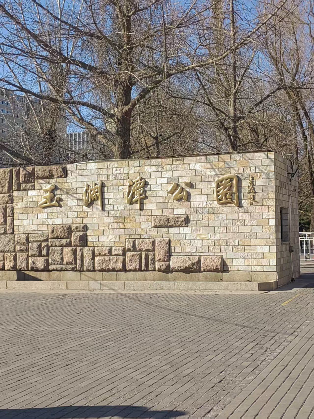 寒冷的冬天玉渊潭公园更显美丽,儿时记忆无