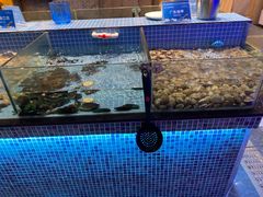 -小天鹅戴斯酒店鲸鲨百汇创作料理