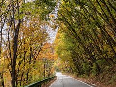 -三块石国家森林公园