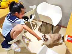 -藏猫猫咖啡主题馆(中央大道店)