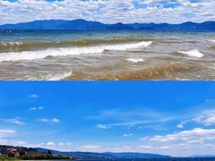 -月亮湾湿地公园