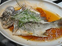 清蒸黄翅鱼-兴仙饭店·闽味海鲜(马尾总店)