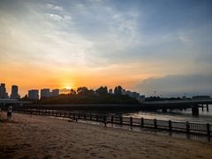 -五缘湾湿地公园