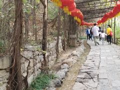 -井塘古村