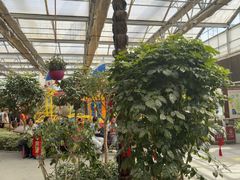 -南宫五洲植物乐园