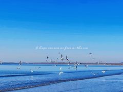 -金梦海湾浴场