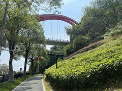 -玉树公园