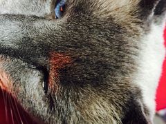 -MIKAKU(万达广场上海宝山店)