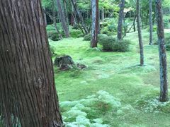 -西芳寺(苔寺)