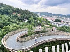 -福道