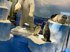 -国家自然博物馆