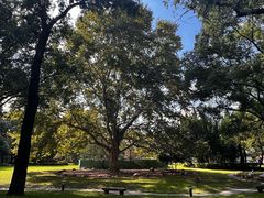 -华航饭店(华馨小区店)