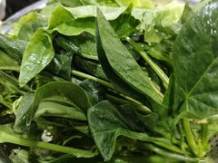 -黔府豆米火锅野菜馆(南马店)