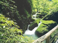 -武隆天坑地缝国家地质公园