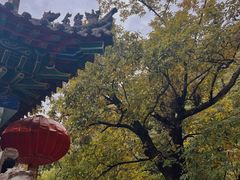 -终南山南五台景区