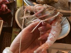 -斯普汇生蚝牛排馆(中骏世界城店)